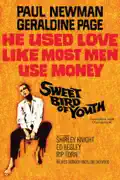 Sweet Bird of Youth (1962) summary, synopsis, reviews