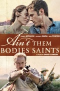 Ain't Them Bodies Saints summary, synopsis, reviews