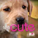 Too Cute!, Season 1 watch, hd download