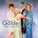 The Golden Girls, Season 3 watch, hd download