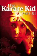 The Karate Kid: Part III summary, synopsis, reviews
