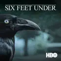Six Feet Under, Season 4 cast, spoilers, episodes, reviews