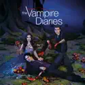 Dangerous Liasons - The Vampire Diaries, Season 3 episode 14 spoilers, recap and reviews