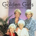 The Golden Girls, Season 5 tv series