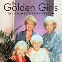 Love Under the Big Top - The Golden Girls, Season 5 episode 5 spoilers, recap and reviews