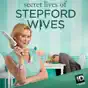 Secret Lives of Stepford Wives, Season 1
