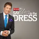 Say Yes to the Dress, Season 8 watch, hd download