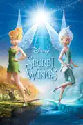 Secret of the Wings summary, synopsis, reviews