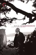Wild Strawberries summary, synopsis, reviews