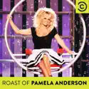 The Comedy Central Roast of Pamela Anderson (Comedy Central Roasts) recap, spoilers
