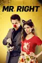 Mr. Right (2016) summary and reviews