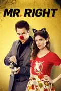 Mr. Right (2016) summary, synopsis, reviews