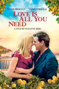 Love Is All You Need summary, synopsis, reviews