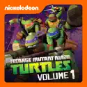 Rise of the Turtles, Pt. 2 - Teenage Mutant Ninja Turtles from Teenage Mutant Ninja Turtles, Vol. 1