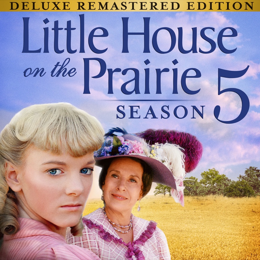 The little house. The little House 2014. Hersha parady little House on the Prairie.