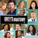 Grey's Anatomy, Season 9 cast, spoilers, episodes, reviews