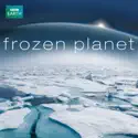 Frozen Planet watch, hd download