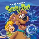 A Pup Named Scooby-Doo, Season 1 cast, spoilers, episodes and reviews