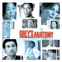 Owner of a Lonely Heart - Grey's Anatomy from Grey's Anatomy, Season 2