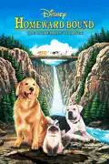 Homeward Bound: The Incredible Journey summary, synopsis, reviews