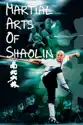 Martial Arts of Shaolin summary and reviews