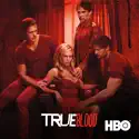 True Blood, Season 4 watch, hd download