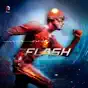 The Flash, Season 1