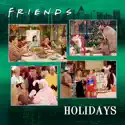 The One With All the Holidays cast, spoilers, episodes, reviews