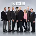 Grounded - NCIS, Season 12 episode 9 spoilers, recap and reviews