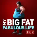 More than a Buddy (My Big Fat Fabulous Life) recap, spoilers