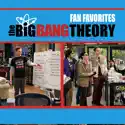 The Shiny Trinket Maneuver (The Big Bang Theory) recap, spoilers
