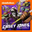 Teenage Mutant Ninja Turtles, Casey Jones Unleashed! watch, hd download
