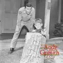 The Andy Griffith Show, Season 4 cast, spoilers, episodes and reviews