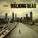 The Walking Dead, Season 1 watch, hd download