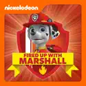 PAW Patrol, Fired Up With Marshall cast, spoilers, episodes, reviews