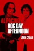Dog Day Afternoon summary, synopsis, reviews