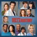 Grey's Anatomy, Season 3 watch, hd download