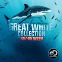 Great White Collection watch, hd download