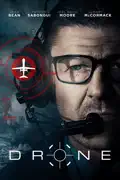 Drone (2017) summary, synopsis, reviews