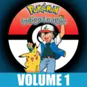 Pokémon the Series: Indigo League, Vol. 1 reviews, watch and download