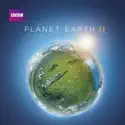 Jungle - Planet Earth II from Planet Earth II