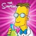 The Heartbroken Kid - The Simpsons, Season 16 episode 17 spoilers, recap and reviews