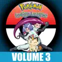 Pokémon the Series: Indigo League, Vol. 3 cast, spoilers, episodes, reviews