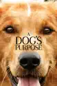 A Dog's Purpose summary and reviews