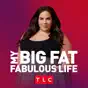 My Big Fat Fabulous Life, Season 10