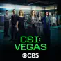 CSI: Vegas, Season 2