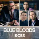 Blue Bloods, Season 13 watch, hd download