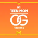Teen Mom, Season 3 cast, spoilers, episodes, reviews