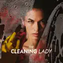 The Brit - The Cleaning Lady from The Cleaning Lady, Season 2