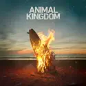 Animal Kingdom: The Complete Series cast, spoilers, episodes, reviews